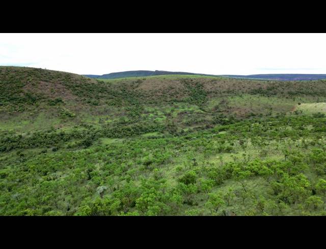 FARM FOR SALE IN MIDDELBURG RURAL